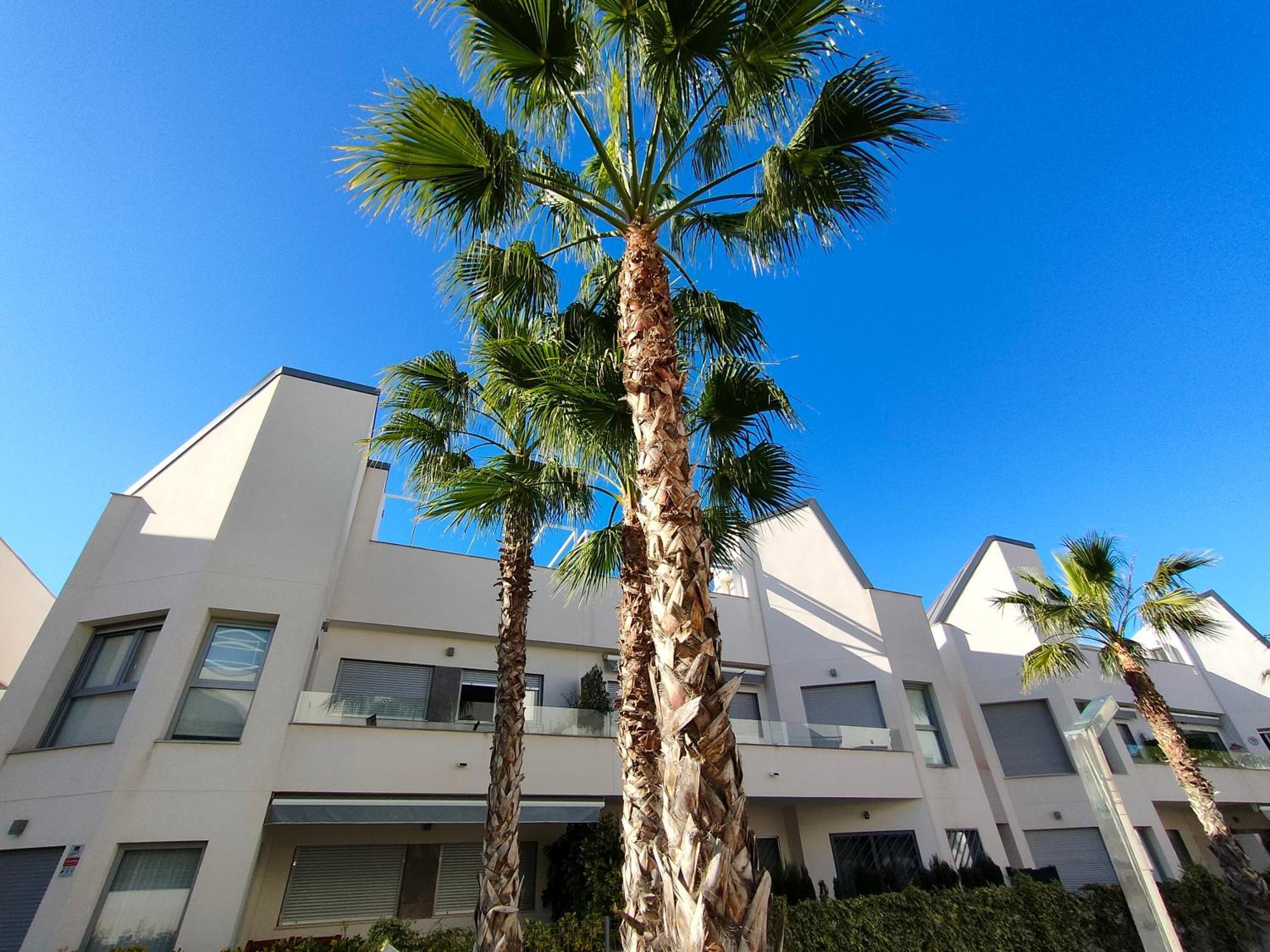 Villa Amalia Eco Torrevieja Kamer foto